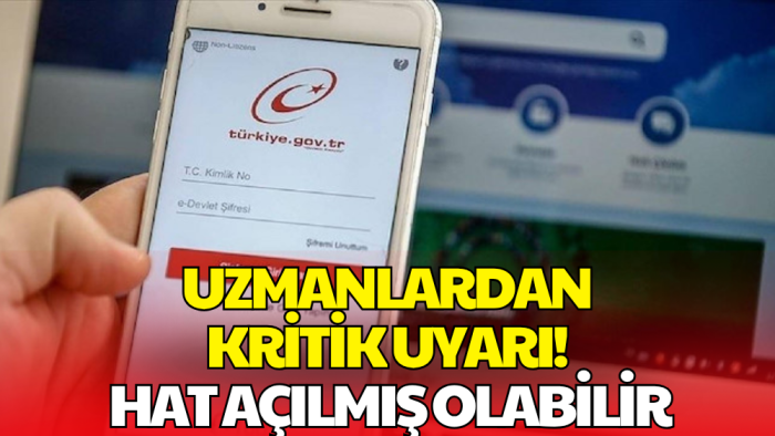 e-Devlet'te Kritik Kontrol! Uzmanlardan Vatandaşlara Önemli Uyarı